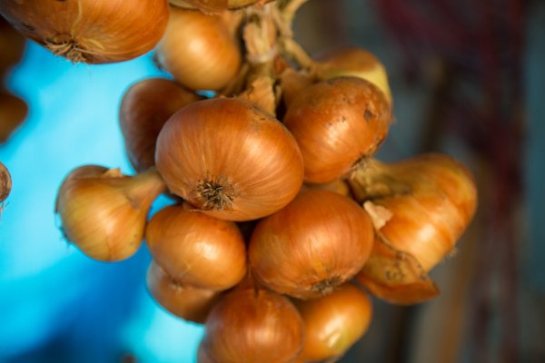 Kraken istand onion