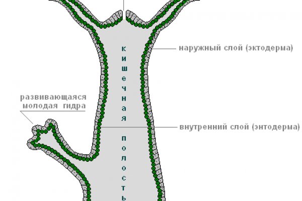 Кракен тор это