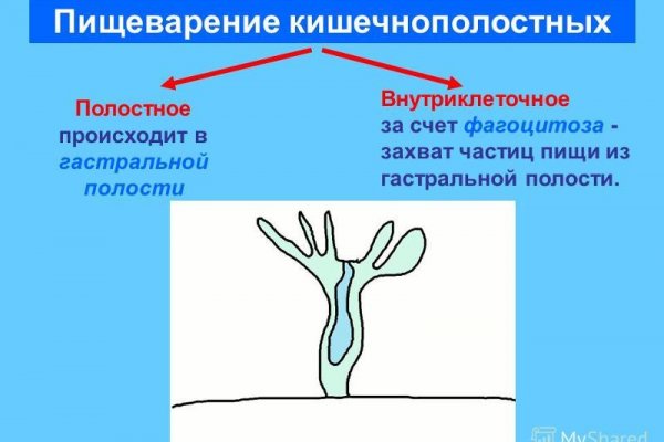 Кракен сайт ссылка тор браузере