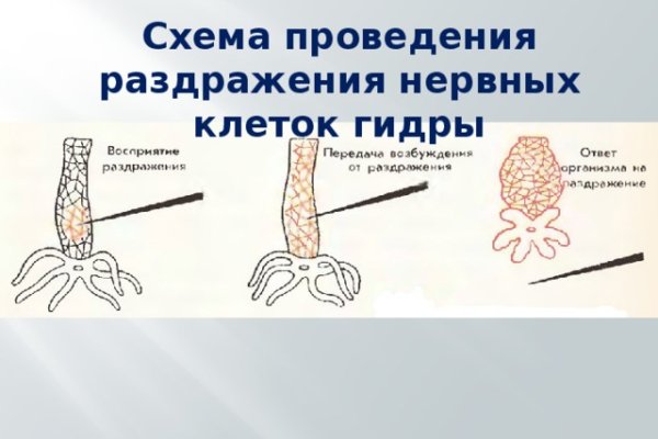 Каталог сайтов даркнет