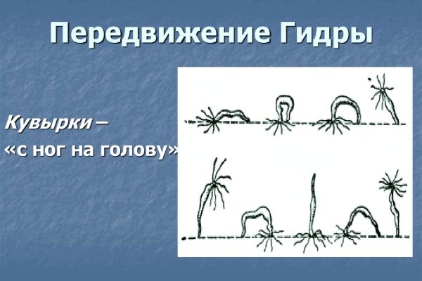 Kraken официальный сайт ссылка через tor