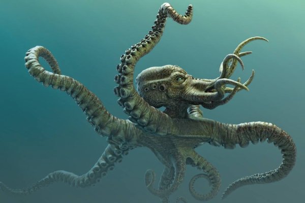 Kraken online