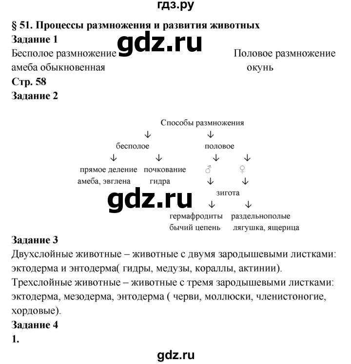 Почему не получается зайти на кракен