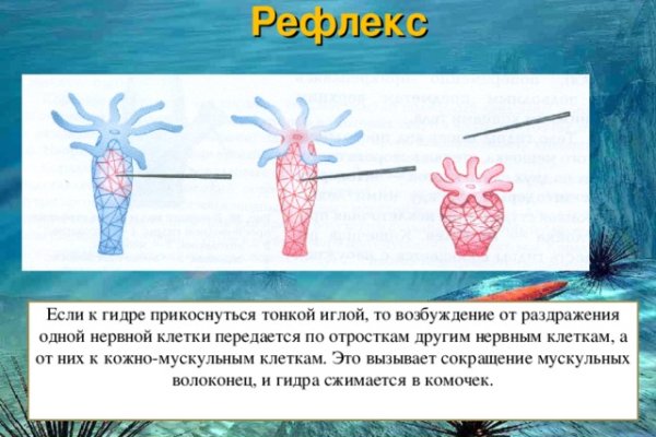 Кракен даркнет текст