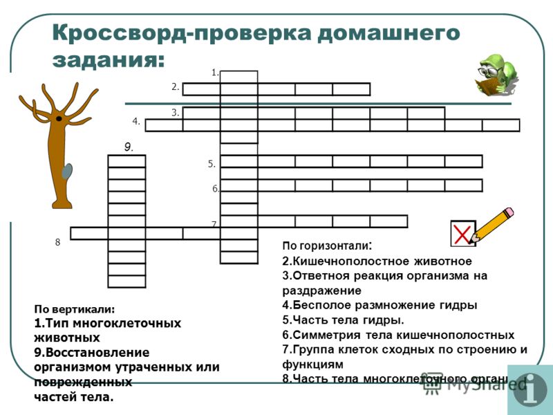 Кракен ссылка что это