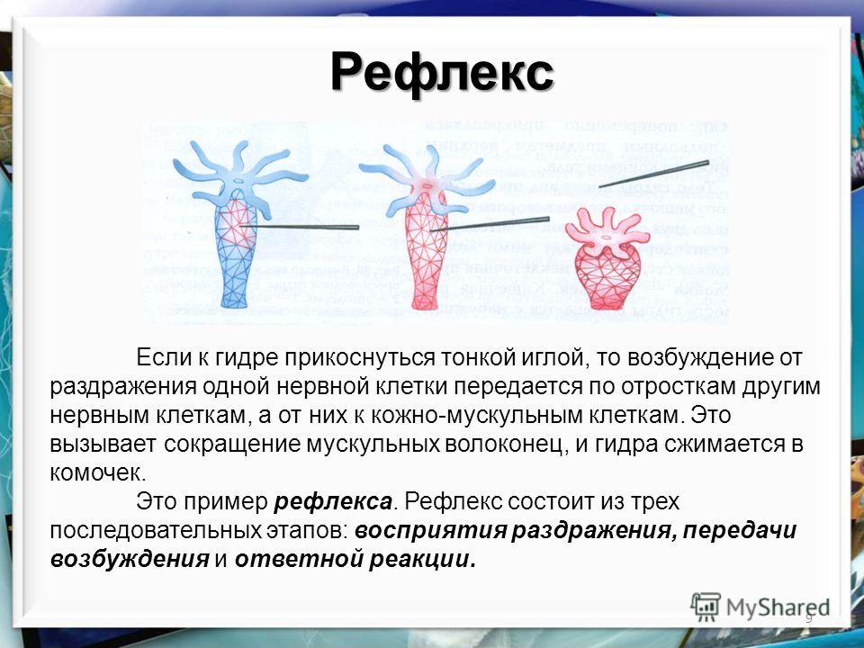 Kraken ссылка зеркало рабочее